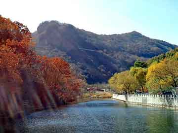 無(wú)錫卡壓不銹鋼管，優(yōu)質(zhì)材料的卓越性能與應(yīng)用前景